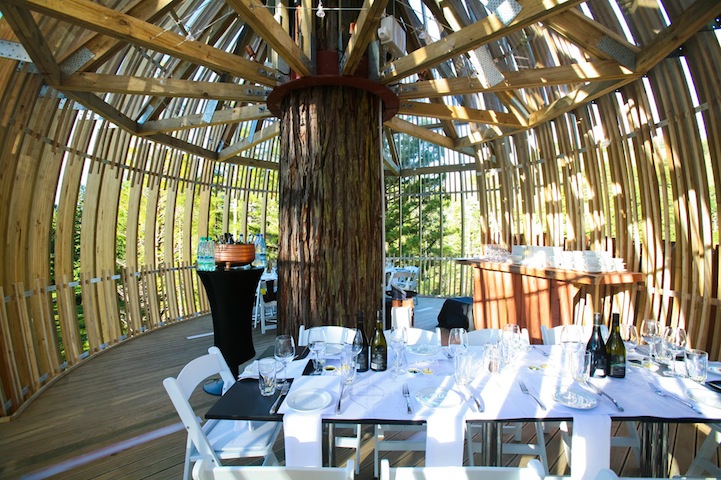 Heights of fine dining: A Treehouse Restaurant suspended 130 feet high