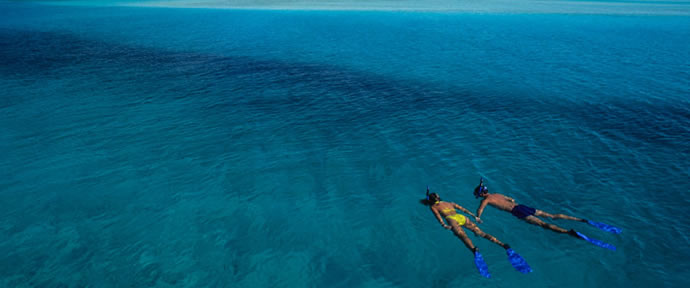 um-e-apenas-bahamas-mergulho