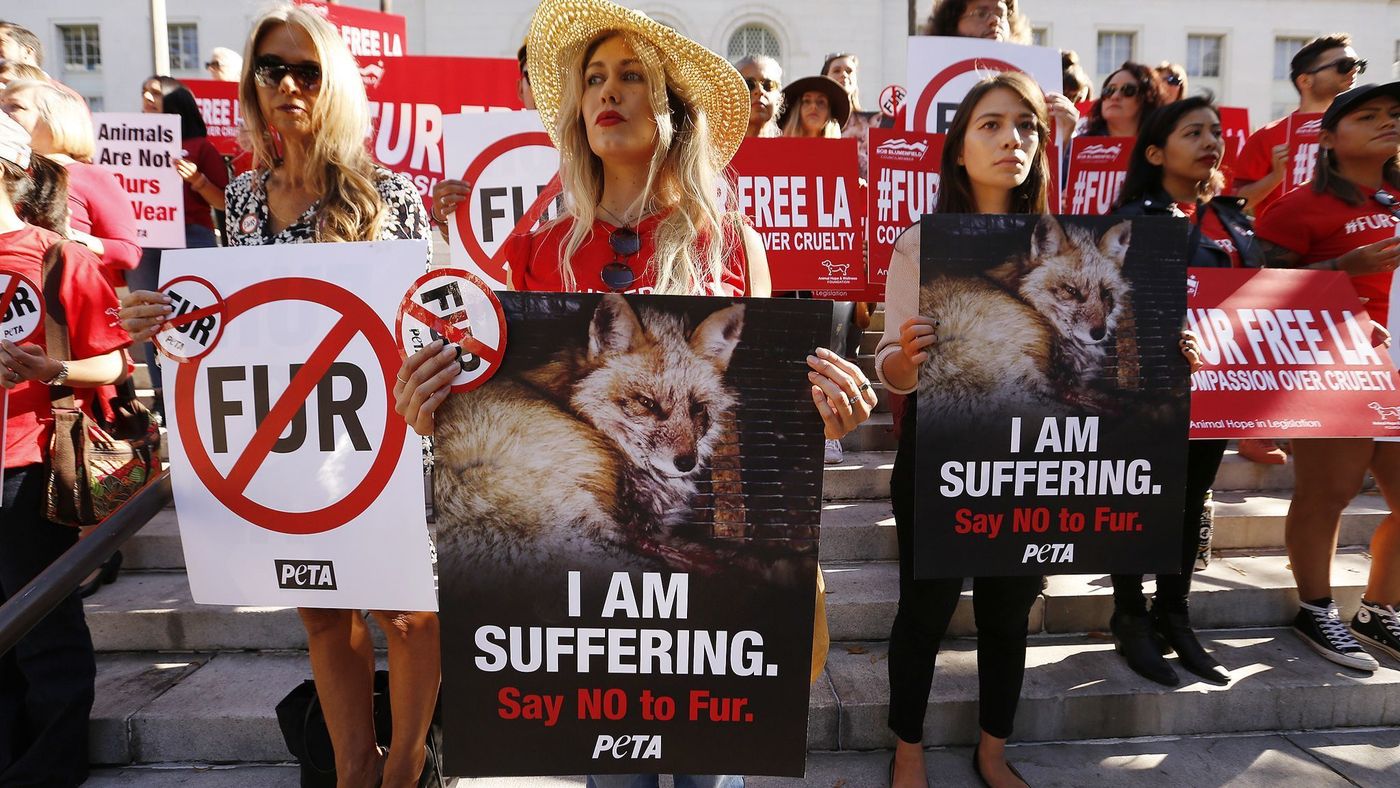 Go Los Angeles The city is on track to completely ban the sale of fur