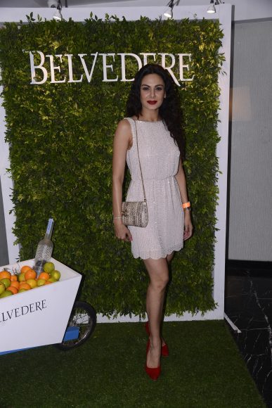 Aanchal Sharma at the Belvedere Relearn Natural Party