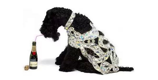 Diamond Dog coat by Vivienne Westwood 