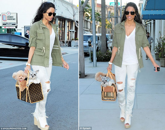 Ciara's pooches travel in style in a Louis Vuitton pet carrier