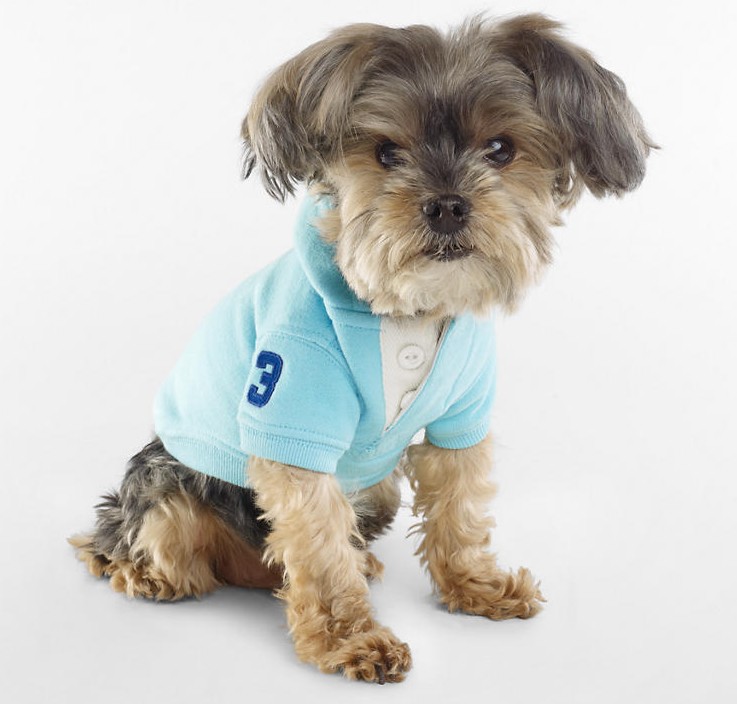 Ralph Lauren's 2013 spring collection for dogs