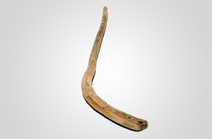 most-expensive-hockey-stick-4