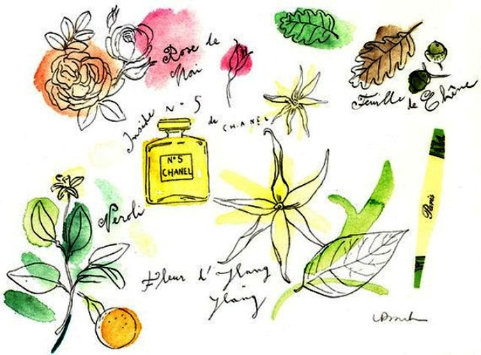 Chanel number 5 online ingredients