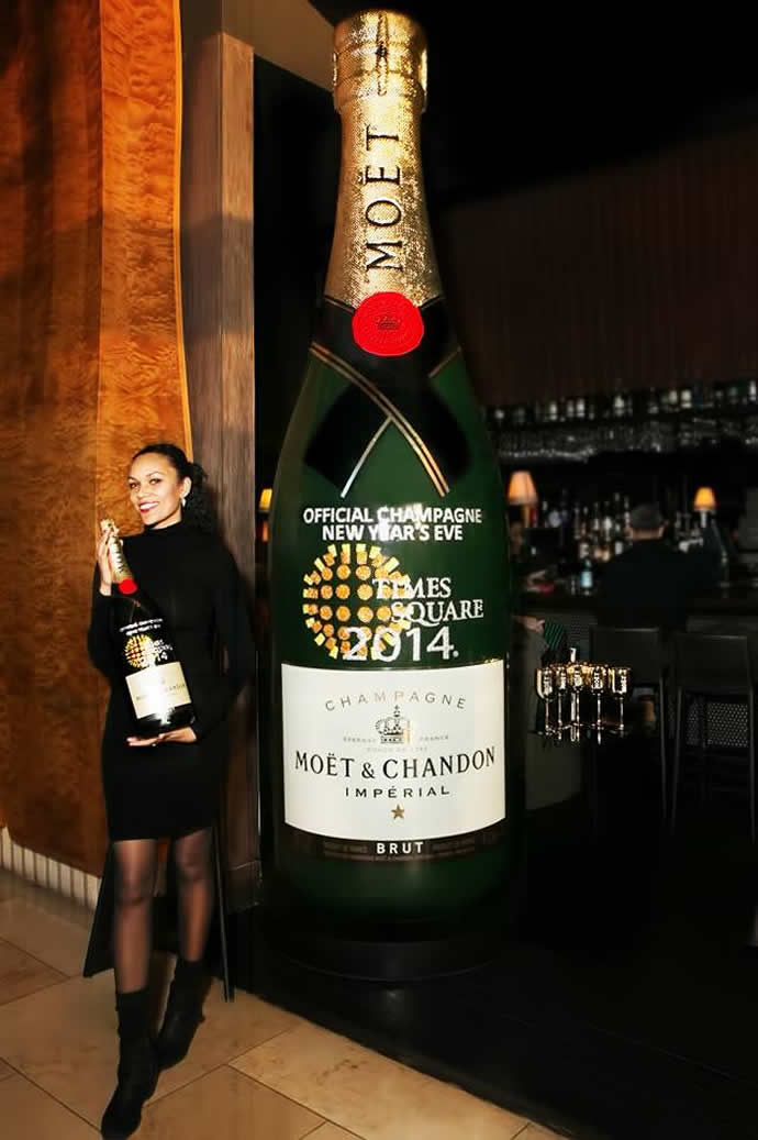 CHATHAM, NJ - JANUARY 13, 2014: Bottle of Moet & Chandon champagne. Moet  Chandon is one of