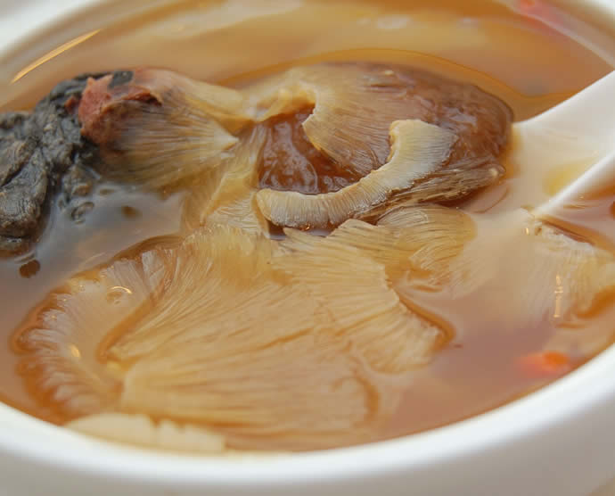 shark-fin-soup