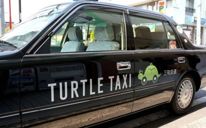 turtle-taxi