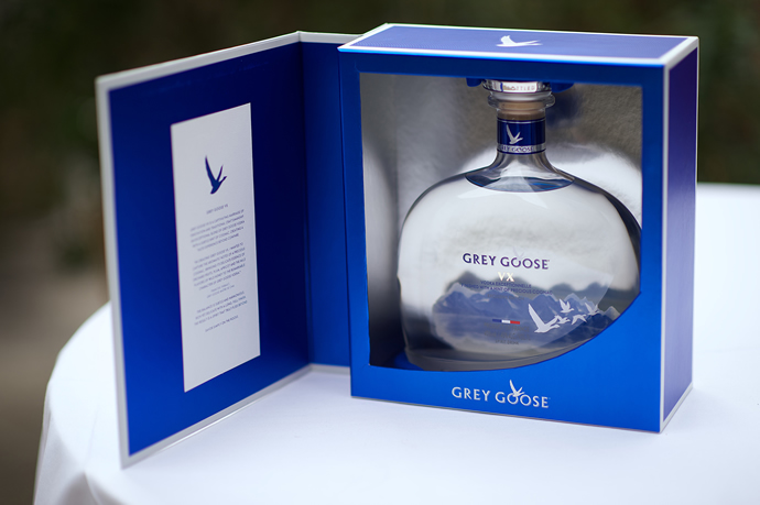 grey-goose-vx-3