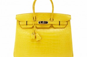Cristiano Ronaldo's Girlfriend Georgina Rodriguez's Epic Hermes Handbag  Collection Includes This Rare Rs 2.5 Crore Birkin Handbag