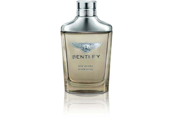 bentley-infinite-15