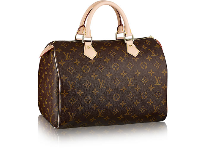 Iconic LV Speedy 30  louis vuitton handbags, louis vuitton bag