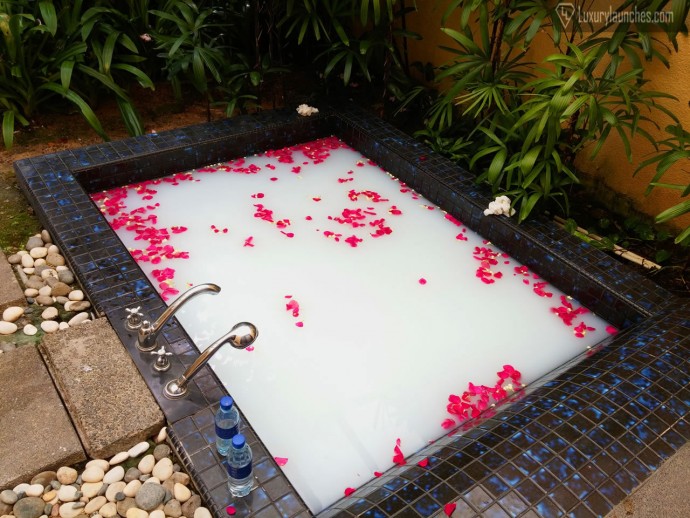  You own personal milk bath with rose petals await...