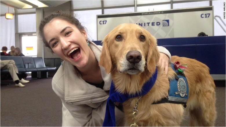 united airlines dog weight limit