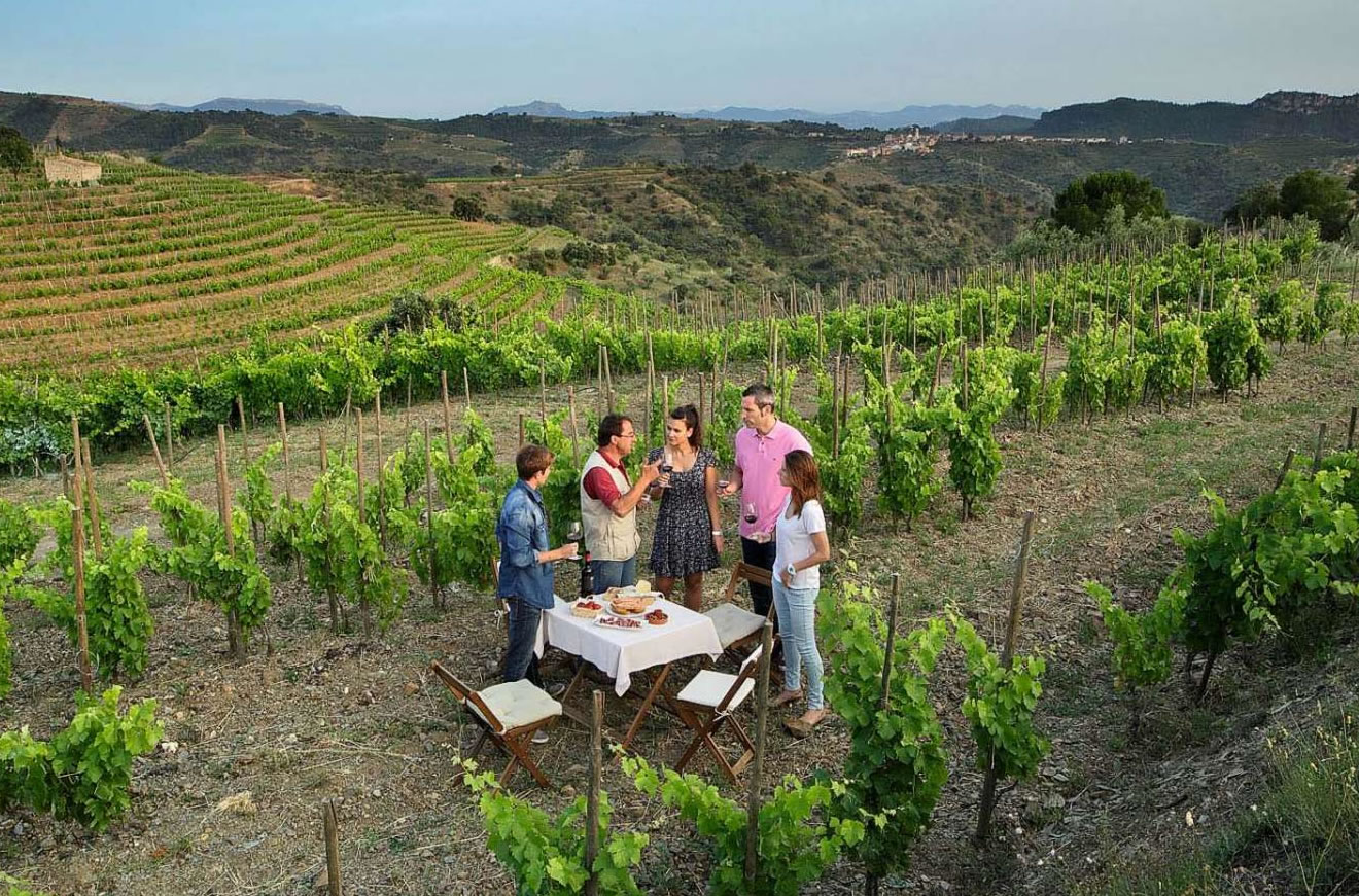 wine tourism priorat