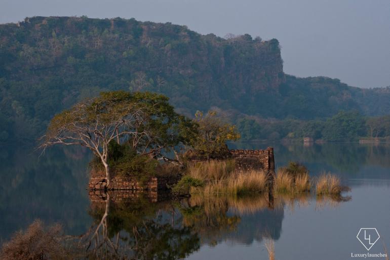 Lake inside Ranthambore National Park