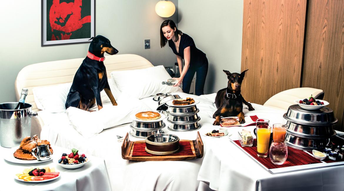 The Best Dog-friendly Hotels in the US