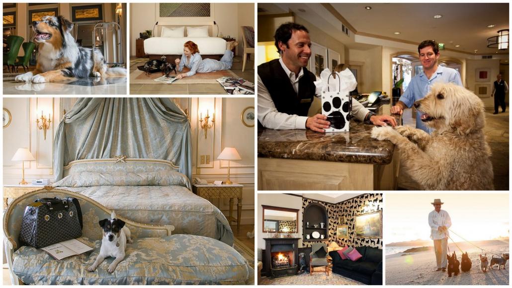 9 of the pet friendly luxury hotels in the world (2018)