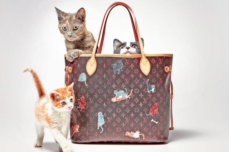 Louis Vuitton unveils the ‘Catogram’ collection that is wholly inspired ...