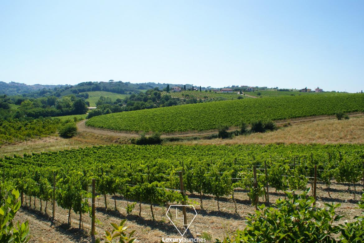 We spent a week in Tuscany tasting fine wines at Anteprime Di Toscana ...