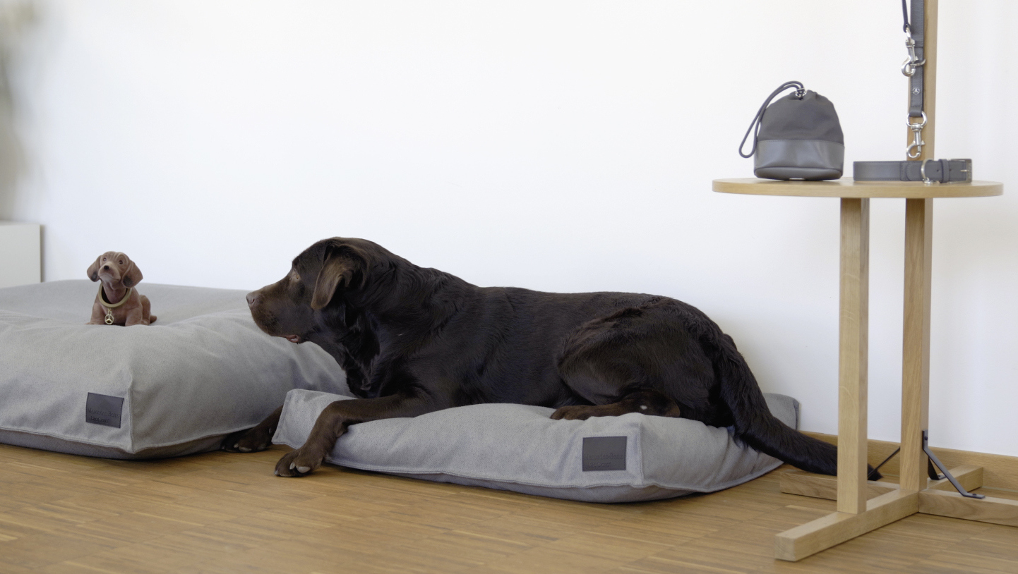 Mercedes-Benz has unveiled a line of trendy accessories for dogs ...