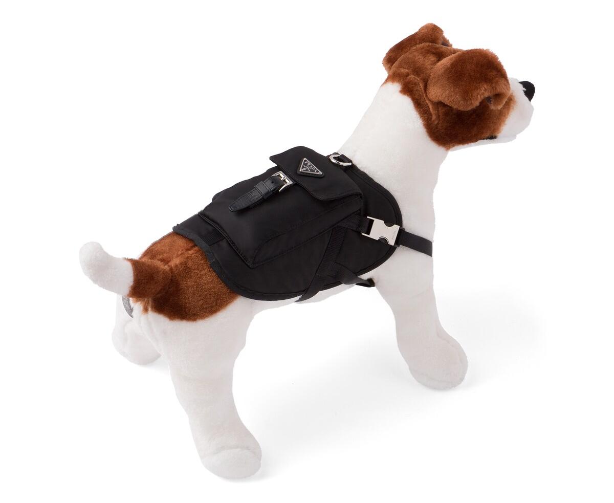 Complete with $1,990 yoga mats and $650 nylon dog harnesses, here's a ...