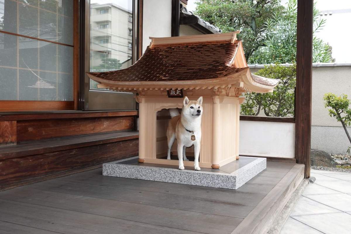 Hiraku built a new house for his pets
