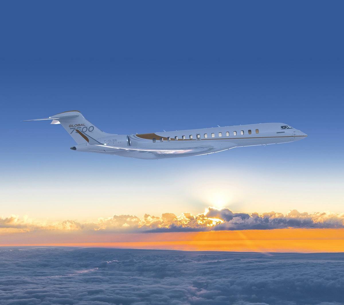 World's third-richest man Bernard Arnault sells private jet to