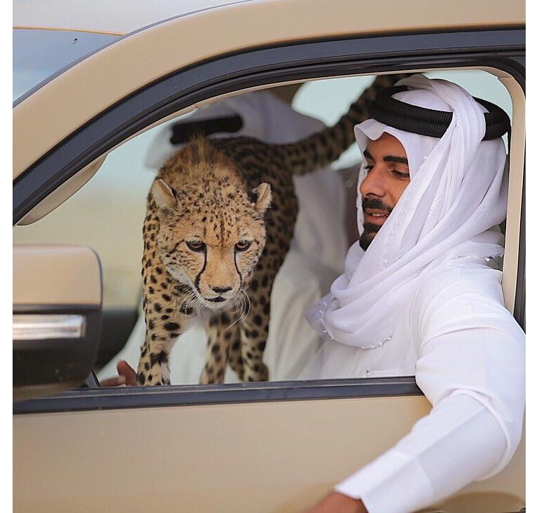 qatar rich people