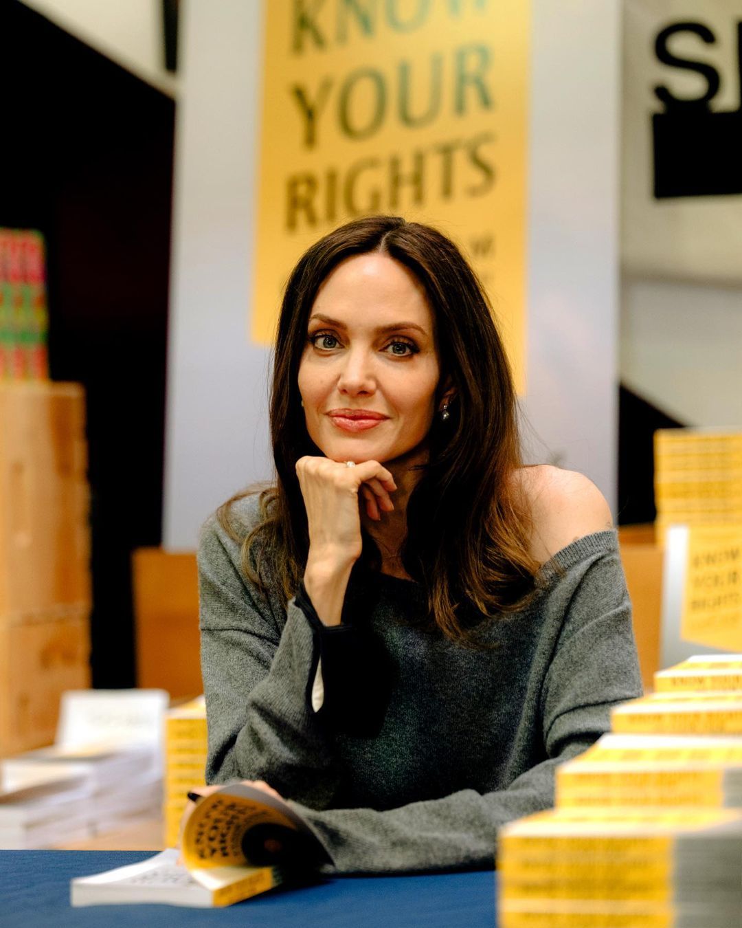 Humanitarian Angelina Jolie launched a sustainable fashion venture ...