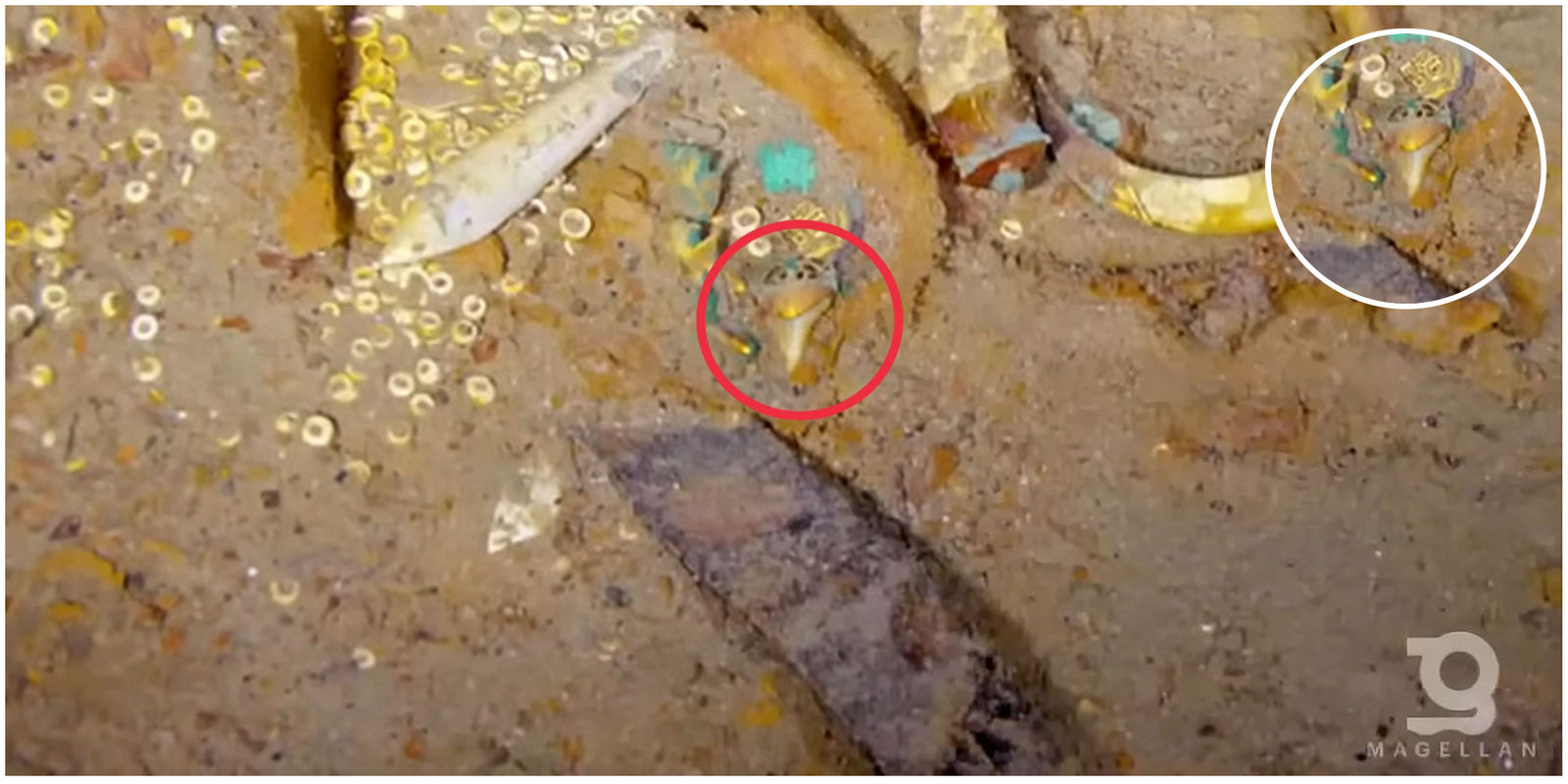 Footage from a deep-sea submersible helped to discover a gold necklace ...