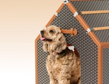 Goyard dog house